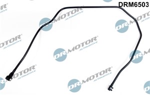 Radiatorslange, FORD FIESTA V, FIESTA Van V, FUSION, 1219583, 2S6H8B081BC