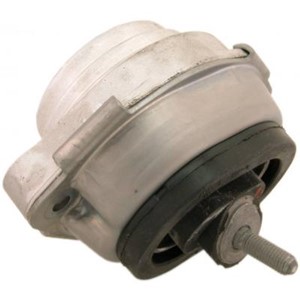 Lagring, motor, Foran, BMW X5 [E53], 22116770794