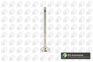 Utløpsventil, DACIA,NISSAN,RENAULT, 13202-00QAH, 13202-00QAK, 7701473004, 7701477875, 8200343412