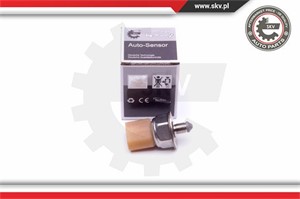 Sensor, drivstofftrykk, AUDI,VW, 03C906051C, 3C906051C
