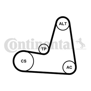 Kileribberemsett, DACIA,LADA,NISSAN,RENAULT, 117207020R, 117209197R, 11720-9197R, 7701478717