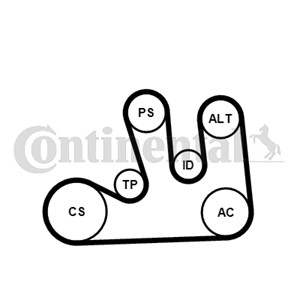 Kileribberemsett, DACIA,RENAULT, 7701477517, 7701477521