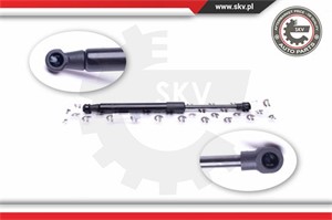 Pneumatisk fjær, motorpanser, Foran, BMW X5 [E53], 51238402551