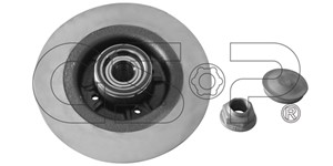 Bremseskive, Bakaksel, RENAULT GRAND SCÉNIC II, SCÉNIC II, 7701208230