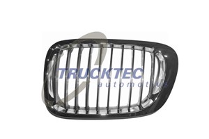 Radiatorgitter, Venstre, BMW 3 Coupé [E46], 51 13 8 208 683