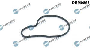 Tetning, vakuumpumpe, OPEL,VAUXHALL, 545349, 55561100