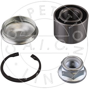 Hjullagersett, Bakaksel, RENAULT, 7701 463 523, 7703 090 253, 7703 090 313