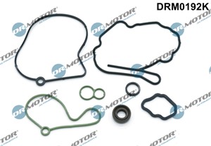Pakningssett, undertrykkpumpe, AUDI,FORD,SEAT,SKODA,VW, 038145209A