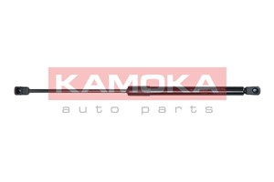 Pneumatisk fjær, motorpanser, Foran, HYUNDAI SANTA FÉ I, SANTA FÉ II, 811602B000, 811602B010