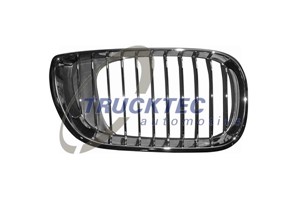 Radiatorgitter, Høyre, BMW 3 [E46], 3 Touring [E46], 51 13 7 042 962