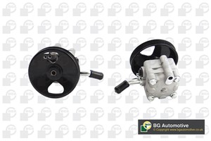 Hydraulikkpumpe, styring, NISSAN ALMERA II, ALMERA Hatchback II, PRIMERA, PRIMERA Hatchback, PRIMERA Kombi, 49110-9F600, 49110-AV700, 49