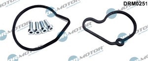 Reparatorsett, undertrykkspumpe (bremsesystem), AUDI,SEAT,SKODA,VW, 038145101A, 038145101B