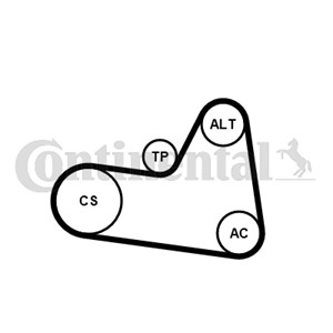 Kileribberemsett, CITROËN,FIAT,PEUGEOT, 1611278180, 1613445180, 1613844280
