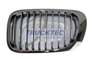 Radiatorgitter, Venstre, BMW 3 Cabriolet [E46], 3 Coupé [E46], 51 13 8 208 685