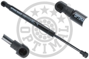 Pneumatisk fjær, motorpanser, ALPINA B5 Kombi, BMW 5 Touring [E61], 51 47 7 148 817