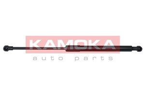 Pneumatisk fjær, motorpanser, Foran, RENAULT ESPACE IV, 8200091749, 8463263