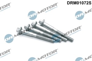 skrue, innsprøytningsdyseholder, CITROËN,FORD,PEUGEOT, 1717583, 9675742980, BK2Q9T506BA