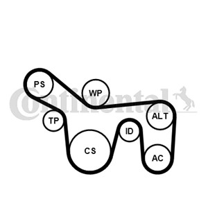 Kileribberemsett, FORD FOCUS I, FOCUS Sedan I, FOCUS Turnier I, TOURNEO CONNECT, TRANSIT CONNECT, 2110243, ME1S4Q6D361AA