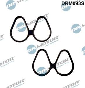 Tetningssett, innsugningsmanifold, NISSAN KUBISTAR Skåp, RENAULT CLIO I, CLIO II, KANGOO, KANGOO Express, TWINGO I, TWINGO II, 770120494