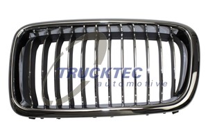 Radiatorgitter, Venstre, BMW 7 [E38], 51 13 8 231 595