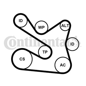 Kileribberemsett, DACIA,RENAULT, 117204083R, 117206453R, 117207014R, 117207646R