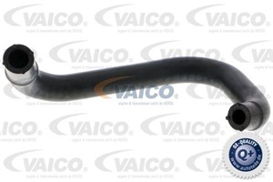 Slange, veivhuslufting, FORD C-MAX, FOCUS II, FOCUS Cabriolet II, FOCUS Sedan II, FOCUS Turnier II, FUSION, 1 337 258, 1 747 173, 1 761