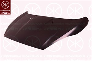 Motorpanser, FORD FIESTA VI, FIESTA Van VI, 1 781 736, 2002312