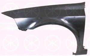 Skvettskjerm, Foran høyre, RENAULT LAGUNA II, LAGUNA Grandtour II, 77 01 472 443, 7701475190, 82 01 094 795, 8438899