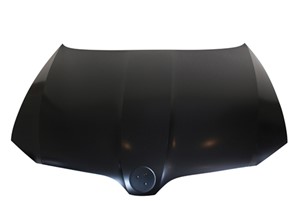 Motorpanser, SKODA SUPERB II, SUPERB Kombi II, 3T0823031B