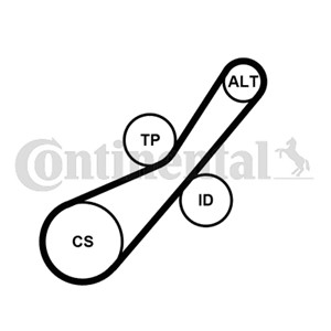Kileribberemsett, CITROËN,FORD,MINI,PEUGEOT, 16 112 779 80, 16112779, 1611277980