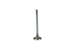 Innløpsventil, AUDI,SEAT,SKODA,VW, 03L109601A, 04L109601A