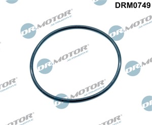 Tetning, innsugningsmanifold, , VW CRAFTER 30-35 Buss, CRAFTER 30-50 Flak/chassi, CRAFTER 30-50 Skåp, WHT002224