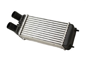 Ladeluftkjøler, CITROËN BERLINGO MULTISPACE, C3 II, C3 PICASSO, C4 CACTUS, C-ELYSEE, DS3, DS3 Cabriolet, 0384N8, 9803900780