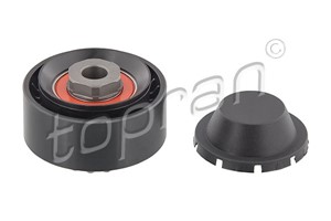 Strammerull, kilerem med ribber, DACIA,NISSAN,RENAULT, 1175 000 Q0L, 1175 000 Q1A, 1175 000 QAH, 1175 000 QAS, 8200 040 155, 8200 136 22