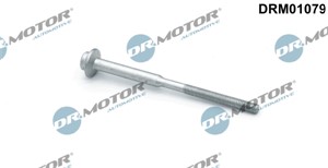 skrue, innsprøytningsdyseholder, AUDI,SEAT,SKODA,VW, WHT005478
