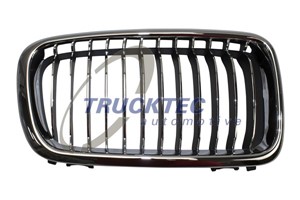 Radiatorgitter, Høyre, BMW 7 [E38], 51 13 8 231 596