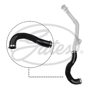 Ladeluftslange, FORD, 2396056, GK21-6C646-AH