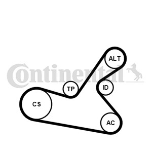 Kileribberemsett, CITROËN C2, C3 I, C3 Pluriel, PEUGEOT 307, 307 Break, 307 SW, RENAULT LAGUNA I, 16 138 459 80
