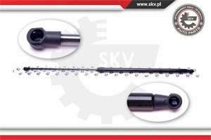 Pneumatisk fjær, motorpanser, Foran, BMW 7 [E65, E66, E67], 51238240596