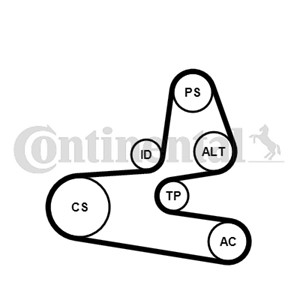 Kileribberemsett, CITROËN,FIAT,PEUGEOT, 1611282080
