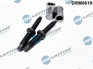 skrue, innsprøytningsdyseholder, CITROËN,FORD,PEUGEOT, 1250990, 1483821, 1982.62, 1982.63