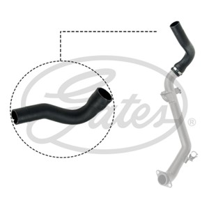 Ladeluftslange, LANCIA YPSILON, 51837874