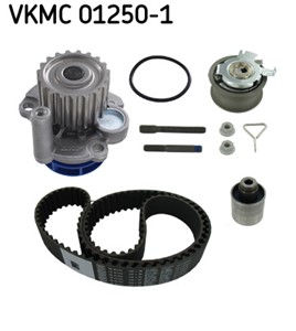 Vannpumpe + registerreimssett, AUDI,FORD,SEAT,SKODA,VW, 038 109 119 L, 038 109 119 N, 038 109 119 P, 038 109 243 M, 038 109 244 J, 038 1