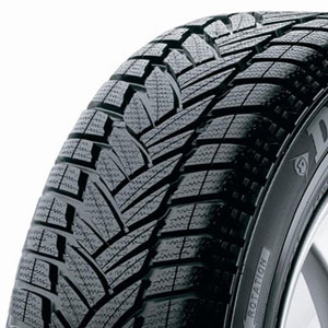 Dunlop Sp Winter Sport M3 265/60HR18 110H MO