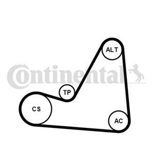 Kileribberemsett, CITROËN C2, C4 I, C4 Coupé, C4 Sedan I, PEUGEOT 1007, 307, 307 Break, 307 CC, 307 SW, 308 I, 308 SW I