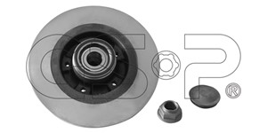 Bremseskive, Bakaksel, RENAULT GRAND SCÉNIC III, SCÉNIC III, 402000007R, 402029646R, 432000007R, 432000007RD, 432020984R, 432024048R
