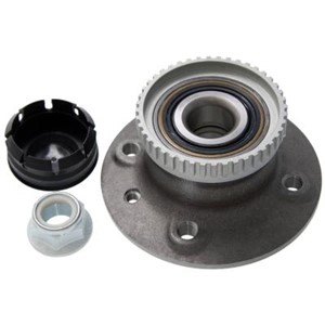 Hjulnav, bakaksel begge sider, RENAULT MEGANE Grandtour I, MEGANE Scenic, SCÉNIC Minibus, minivan I, SCÉNIC VAN I, 7701205170