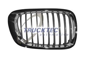 Radiatorgitter, Høyre, BMW 3 Cabriolet [E46], 3 Coupé [E46], 51 13 8 208 686
