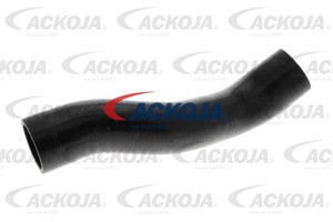 Ladeluftslange, NISSAN JUKE, 144631KB0A