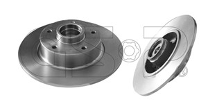 Bremseskive, Bakaksel, RENAULT FLUENCE, MEGANE Coupé III, MEGANE Halvkombi III, 432001539R, 432007595R
